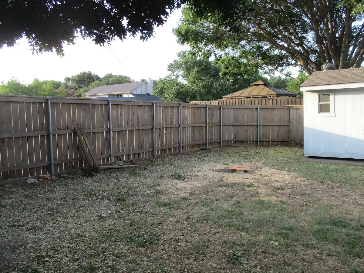 Cleared yard after professional tree removal in Clarence